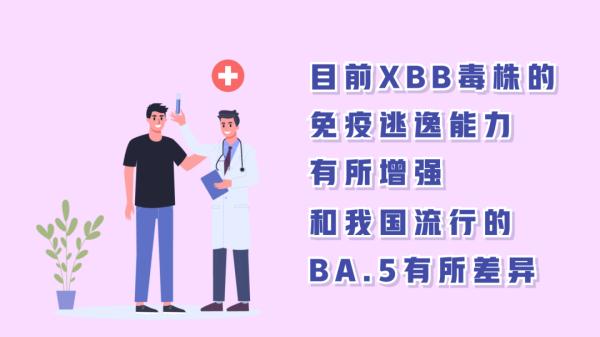 防疫动画丨关于XBB，你需要知道的都在这！
