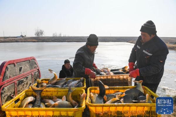 黄河岸边的冬捕人