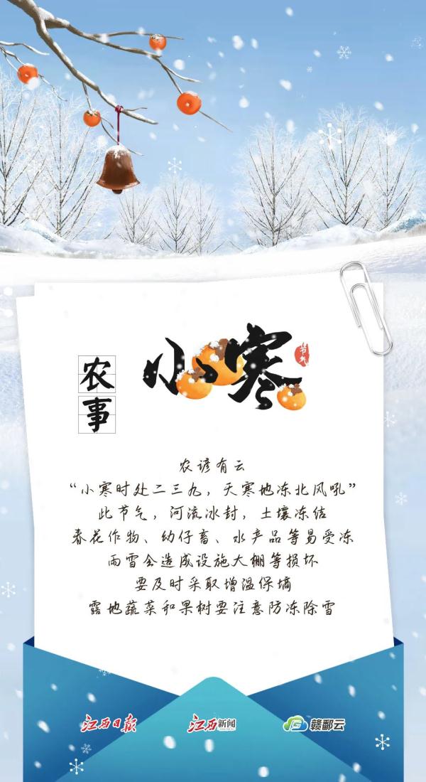 今日小寒︱青竹伴琼枝 月行千里时 今日小寒︱青竹伴琼枝 月行千里时