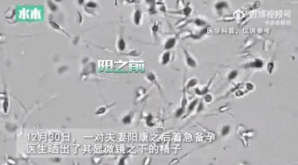 夫妻“阳康”后着急备孕，医生建议等等！“阳”过会影响备孕吗？