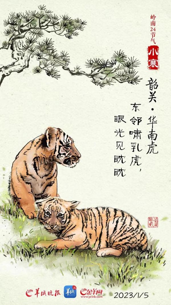 广东：小寒节气多股冷空气在“排队”，春节期间或有中等偏强冷空气