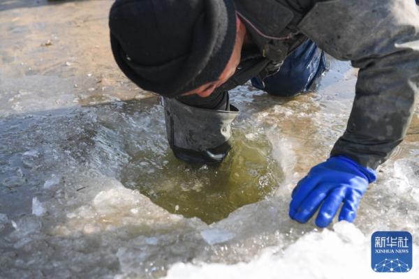 黄河岸边的冬捕人