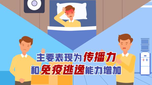 防疫动画丨关于XBB，你需要知道的都在这！