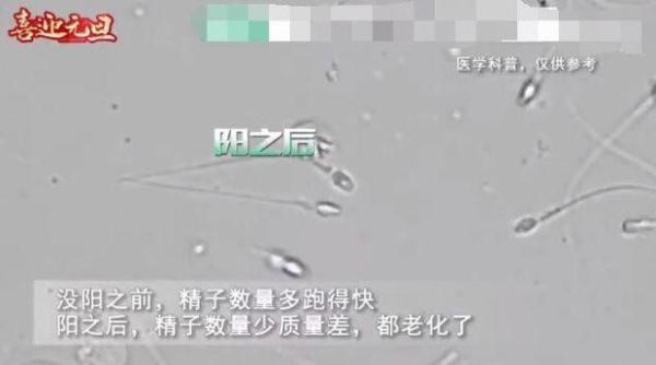 夫妻“阳康”后着急备孕，医生建议等等！“阳”过会影响备孕吗？
