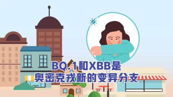 防疫动画丨关于XBB，你需要知道的都在这！