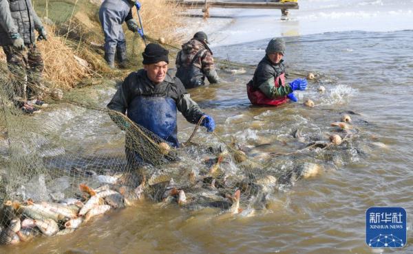 黄河岸边的冬捕人