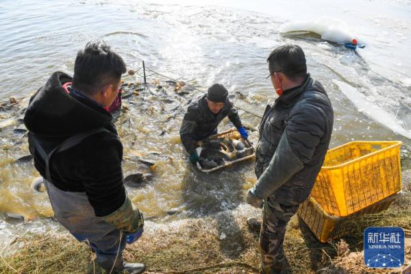 黄河岸边的冬捕人