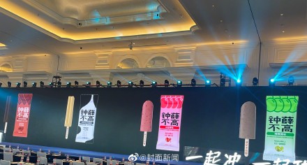 钟薛高推出子品牌钟薛不高