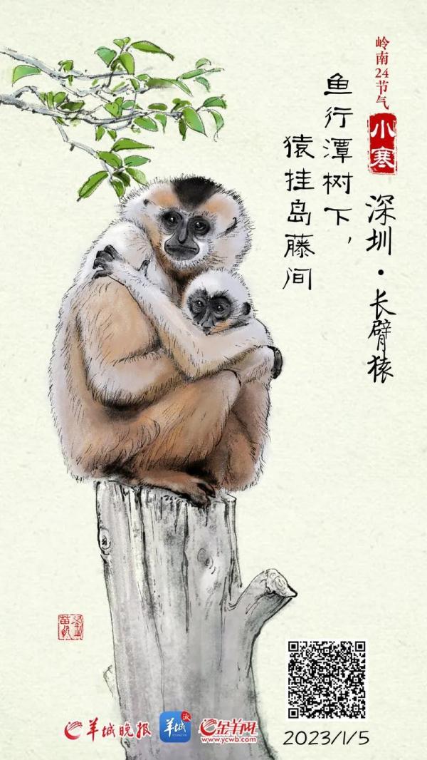 广东：小寒节气多股冷空气在“排队”，春节期间或有中等偏强冷空气
