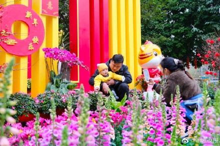 1月11日至2月5日，2023年广州水上花市将亮相荔湾湖