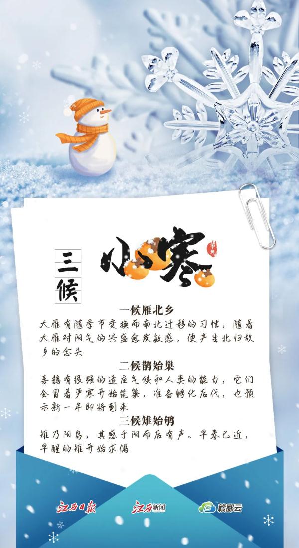 今日小寒︱青竹伴琼枝 月行千里时 今日小寒︱青竹伴琼枝 月行千里时