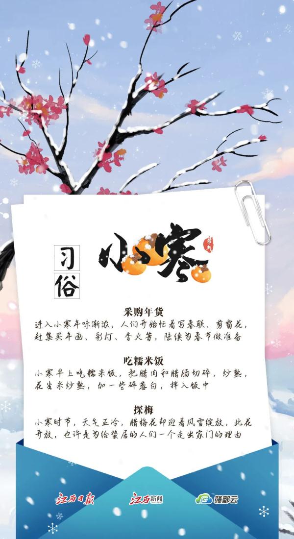 今日小寒︱青竹伴琼枝 月行千里时 今日小寒︱青竹伴琼枝 月行千里时