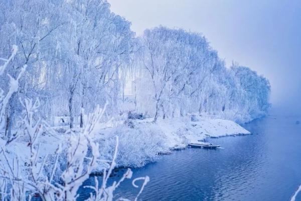 今日小寒 | 料峭寒风腊梅香 今日小寒 | 料峭寒风腊梅香