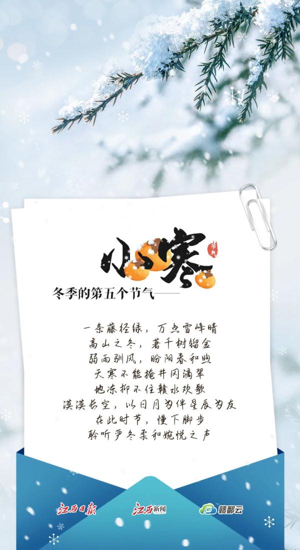 今日小寒︱青竹伴琼枝 月行千里时 今日小寒︱青竹伴琼枝 月行千里时