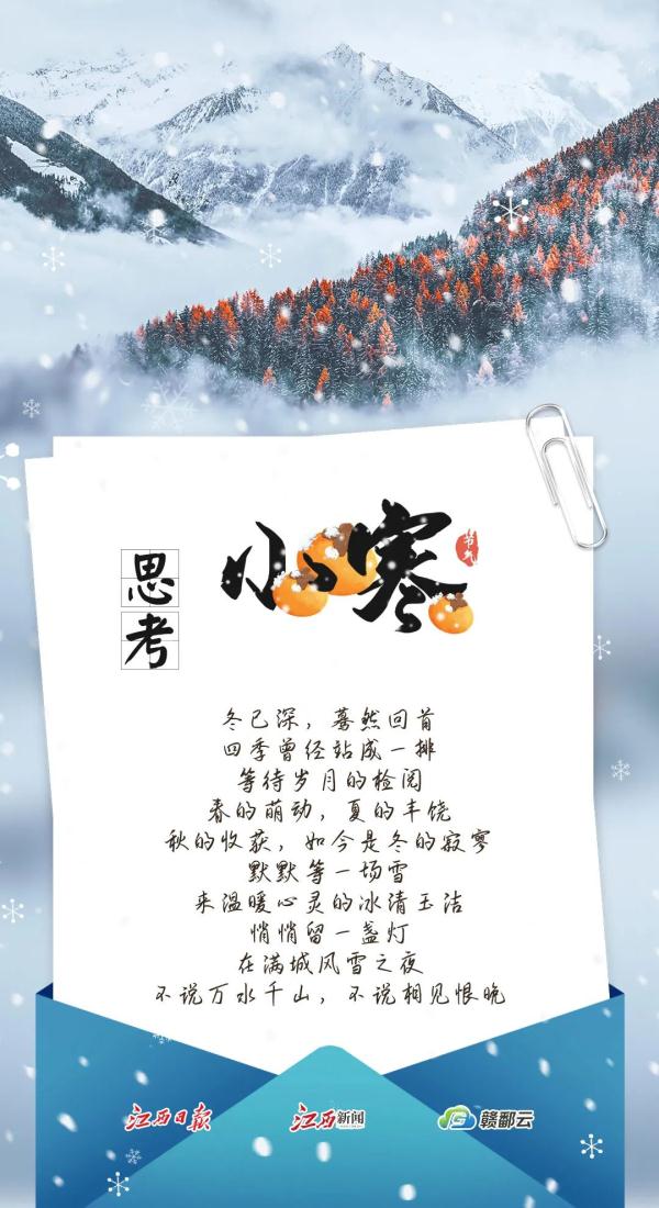 今日小寒︱青竹伴琼枝 月行千里时 今日小寒︱青竹伴琼枝 月行千里时