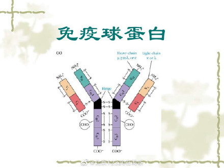 不建议在家里储存或者预防性使用免疫球蛋白 不建议在家里储存或者预防性使用免疫球蛋白