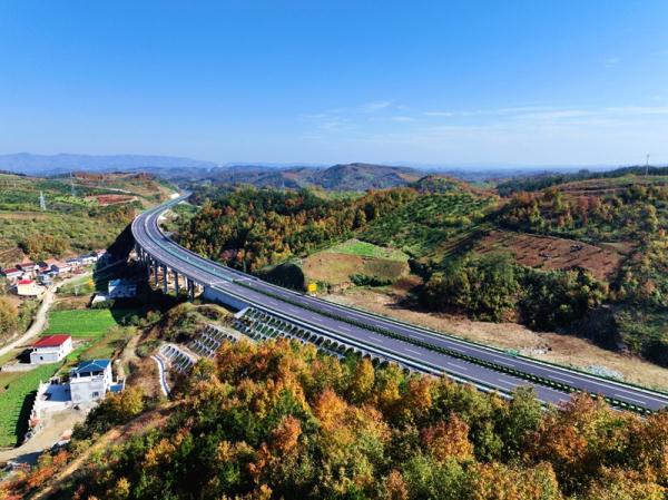 世界最大跨径部分地锚式混合梁斜拉桥今日通车 世界最大跨径部分地锚式混合梁斜拉桥今日通车