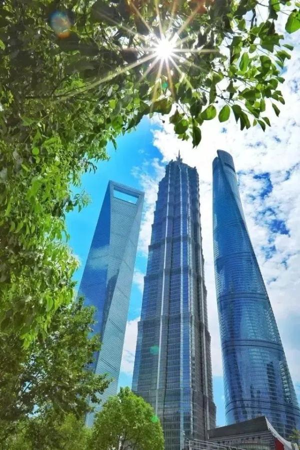 上海陆家嘴一变电箱成网红，爬“石墩”打卡三件套！解锁安全小众的私藏打卡点