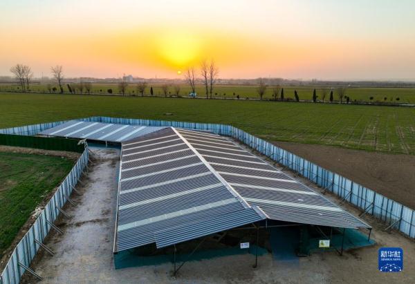 河南汉魏洛阳城发现魏晋时期大型水道遗迹