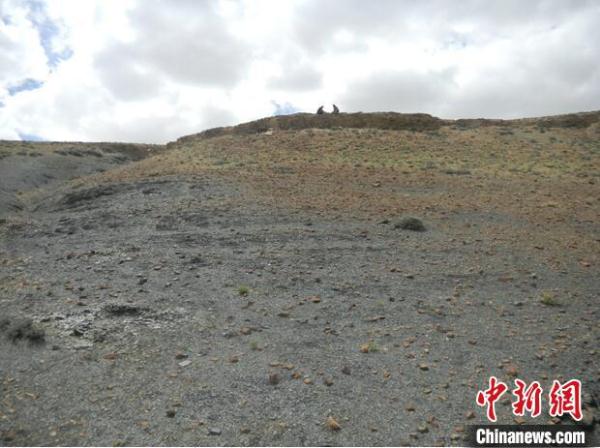 中外科研人员通过“防晒霜”揭秘2.52亿年前生物大灭绝 中外科研人员通过“防晒霜”揭秘2.52亿年前生物大灭绝