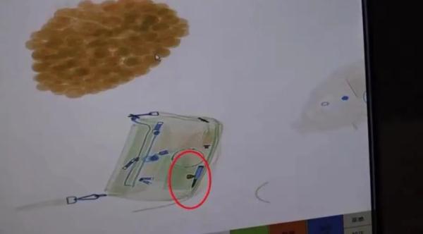 子弹能辟邪？女子信以为真，竟做出惊人举动