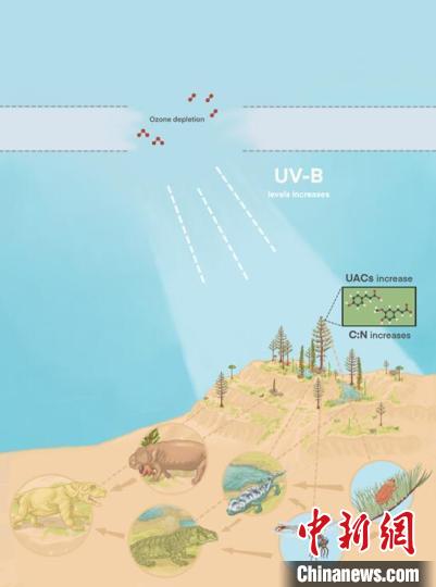 中外科研人员通过“防晒霜”揭秘2.52亿年前生物大灭绝 中外科研人员通过“防晒霜”揭秘2.52亿年前生物大灭绝