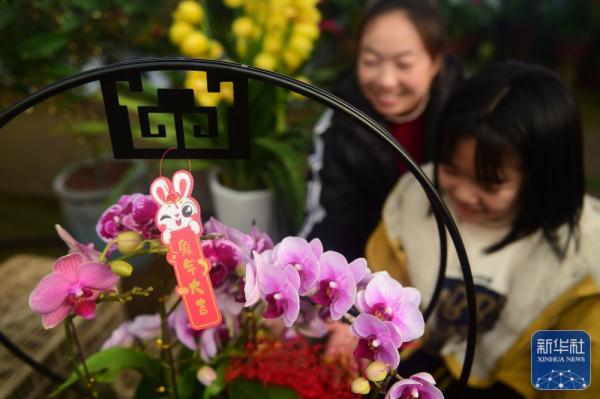 河北南皮：小城兴起鲜花经济
