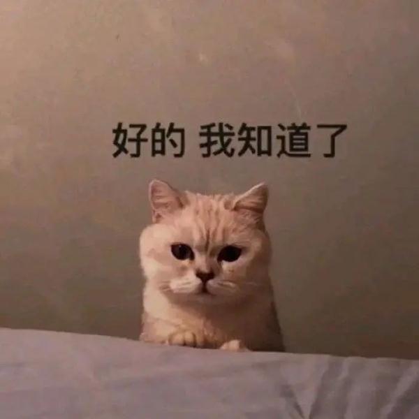 雨雨雨！未来几天海南局地大到暴雨，11日气温将迎回升
