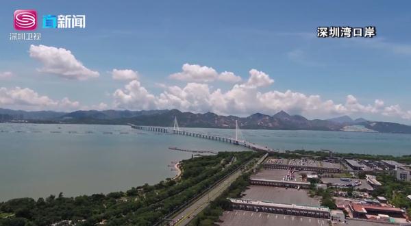 “通关”啦！深港各口岸“开门”，海陆空多路实探→