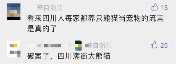 看门狗突然狂吠不止！主人一看，竟来了只大熊猫...