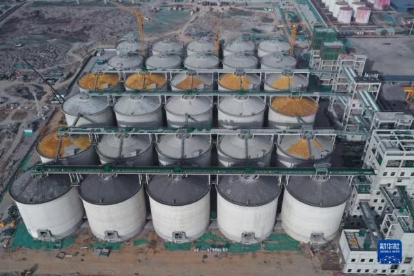中储粮秦皇岛直属库海港粮储基地项目建设正酣