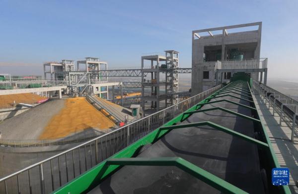 中储粮秦皇岛直属库海港粮储基地项目建设正酣