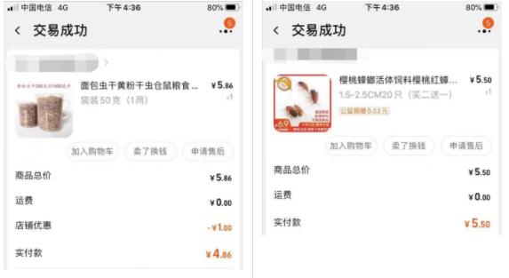 太嚣张!竟还有“网络保护费”?抓! 太嚣张!竟还有“网络保护费”?抓!