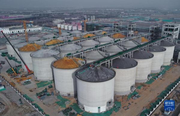 中储粮秦皇岛直属库海港粮储基地项目建设正酣