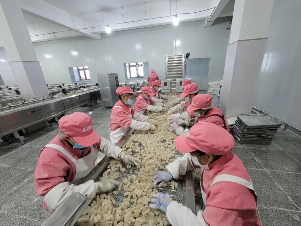 新春走基层｜“甜蜜事业”让村民日子越来越甜