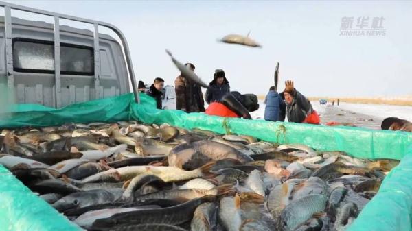 低至-20℃冰封湖面抓鱼去！记者亲历新疆乌伦古湖冬捕