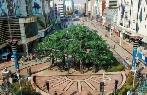 城事 | 天津这条“金街步行街”即将改造! 城事 | 天津这条“金街步行街”即将改造!