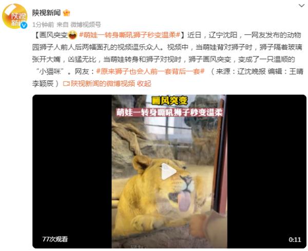 画风突变，萌娃一转身嘶吼狮子秒变温柔