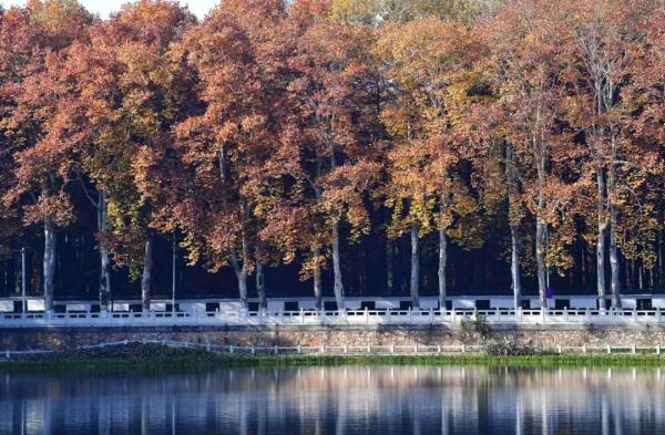 降雨+降温!武汉接下来的天气…… 降雨+降温!武汉接下来的天气……