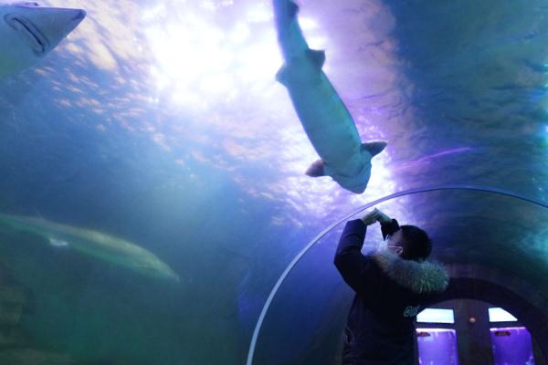 探访“华夏东极”鱼博馆 探访“华夏东极”鱼博馆