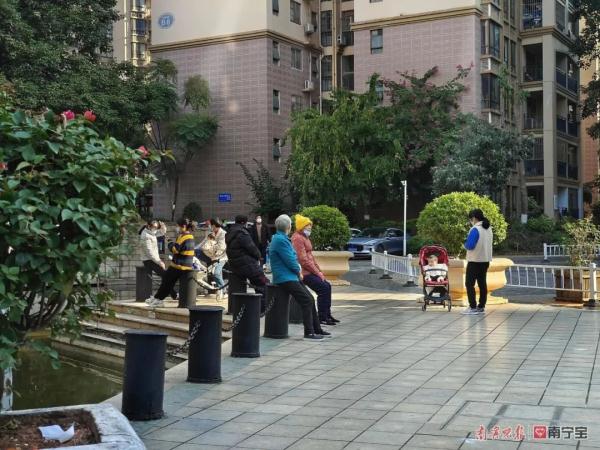寻常百姓家，百鸟来觅食！南宁一对夫妻阳台撒粮，收获奇妙缘分……