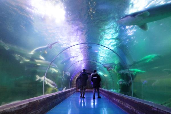 探访“华夏东极”鱼博馆 探访“华夏东极”鱼博馆