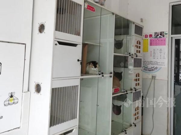 宠物店锁门多日，附近居民闻到味不对，吓得赶紧报警