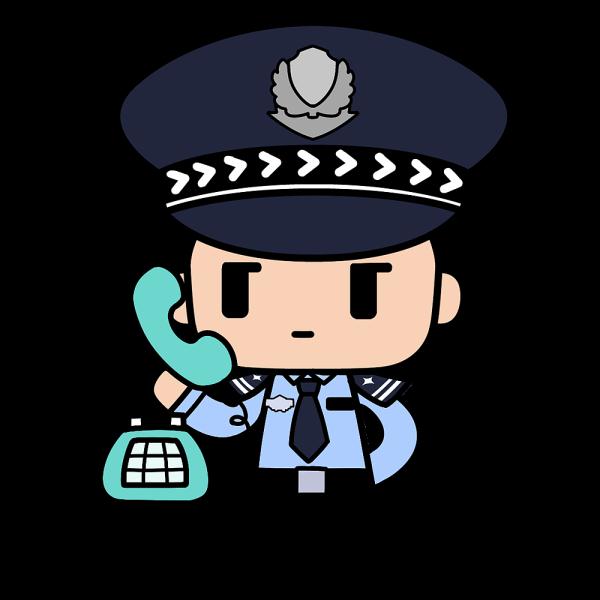 你好,警察节|关于110报警电话,你还应该了解这些 你好,警察节|关于110报警电话,你还应该了解这些