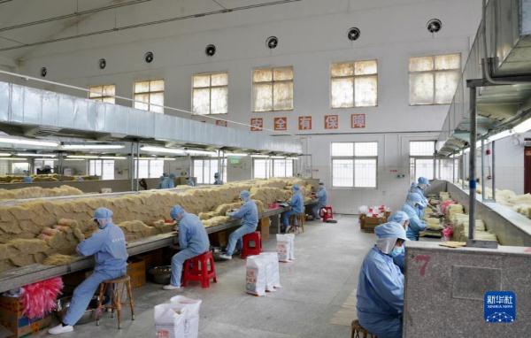 小粉丝走俏海外大市场 小粉丝走俏海外大市场