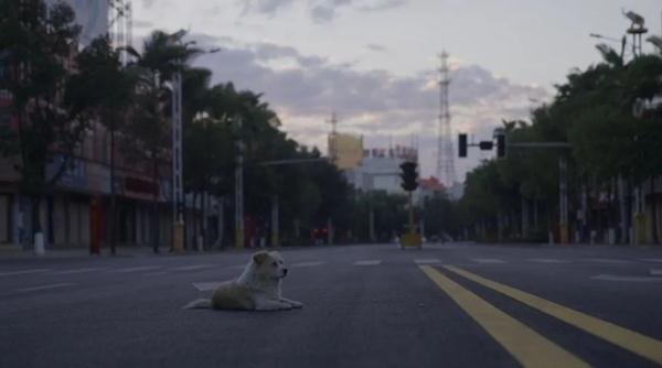 在瑞丽等边境重开的人