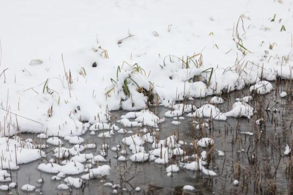 小到中雪！2023年郑州首场降雪要来了！河南局部大雪