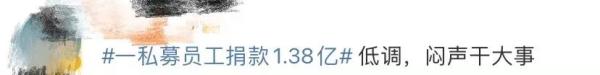刷屏！“一只平凡的小猪”个人捐款1.38亿！