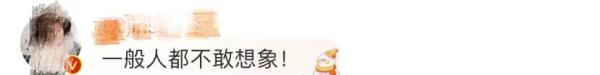 刷屏！“一只平凡的小猪”个人捐款1.38亿！