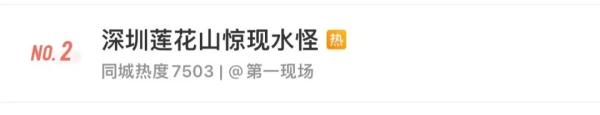 深圳莲花山公园惊现“水怪”! 深圳莲花山公园惊现“水怪”!